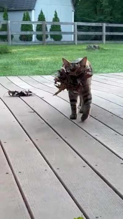 Охотница с добычей