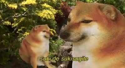 Cheems recites poetry