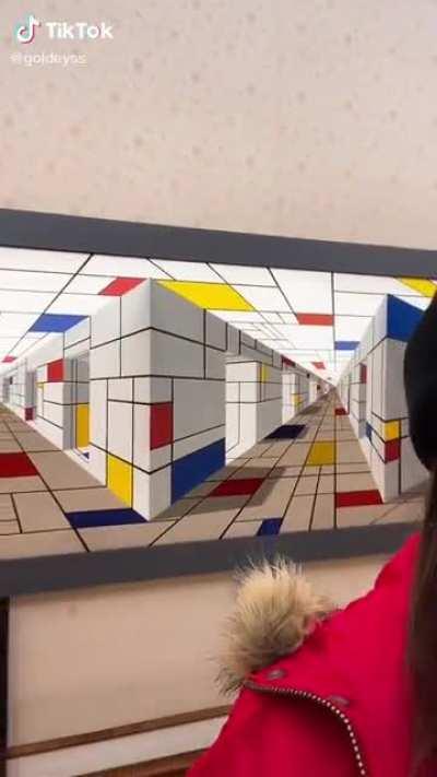 This illusion artwork in the museum