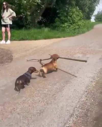 it's his world, we are just living in it...