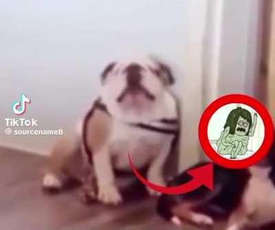 Guys a witch cursed him