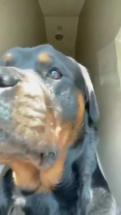 Sorry, it's my show now.