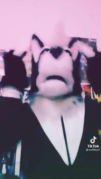 Traduciton : 5 + 5 = potato