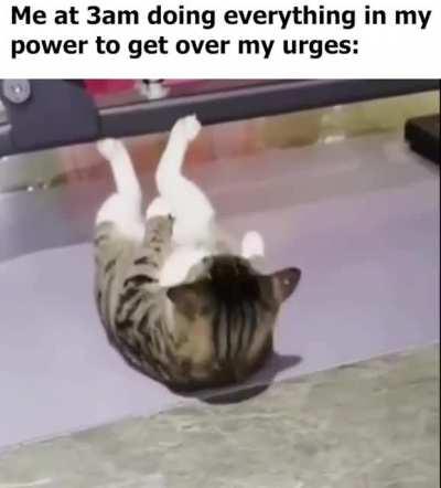 Gotta get those push ups in