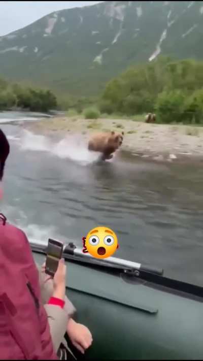 🔥 🔥 Casual day of a bear 🐻 chasing your boat 🚤 and family🔥 🔥 