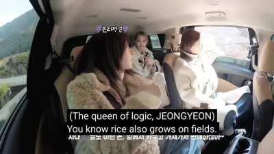 Jeongyeon & Sana tried to trick Tzuyu into thinking marshmallows grow in fields 😂😂