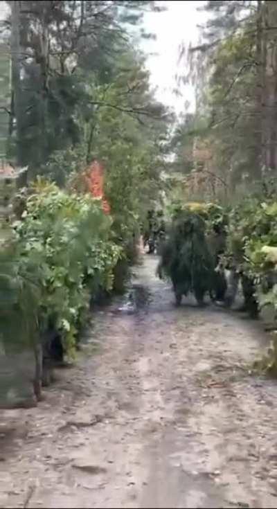 Ua pov: Ukrainian special forces in ghillie suits in the area of SMO in Ukraine
