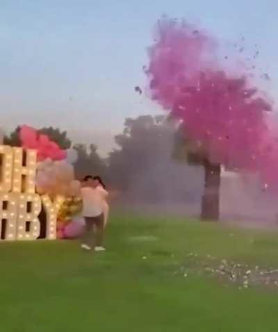 Pilot dies after plane crashes during gender reveal party in Mexico