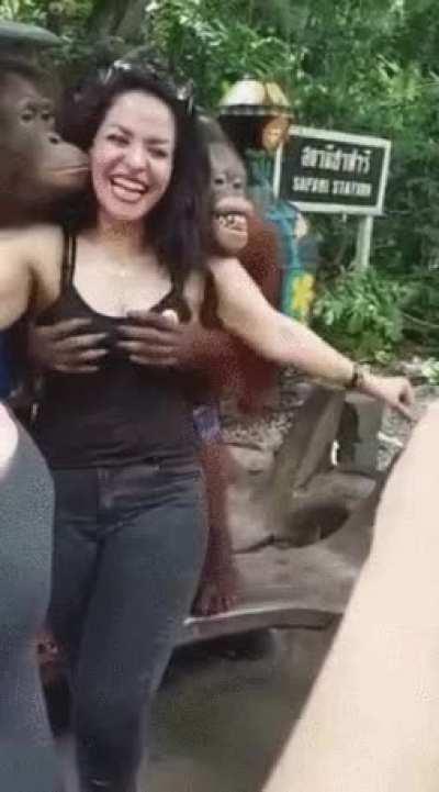 Apes learn hodling can be fun.