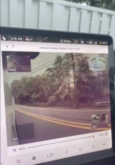 How can a cop drive like this?