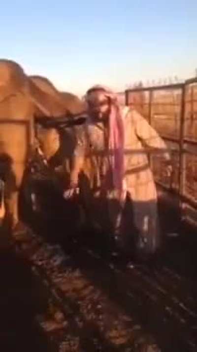 Araps getting inspired from Endians!