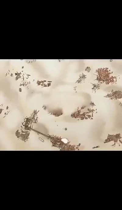 La censura en china es muy…