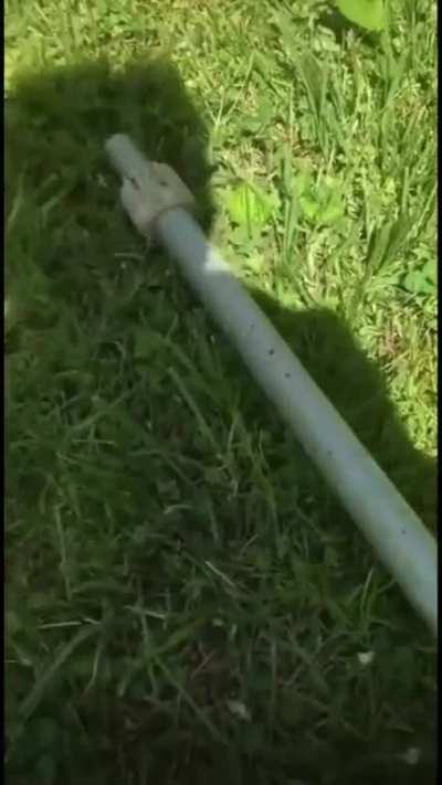 Some memes without porn