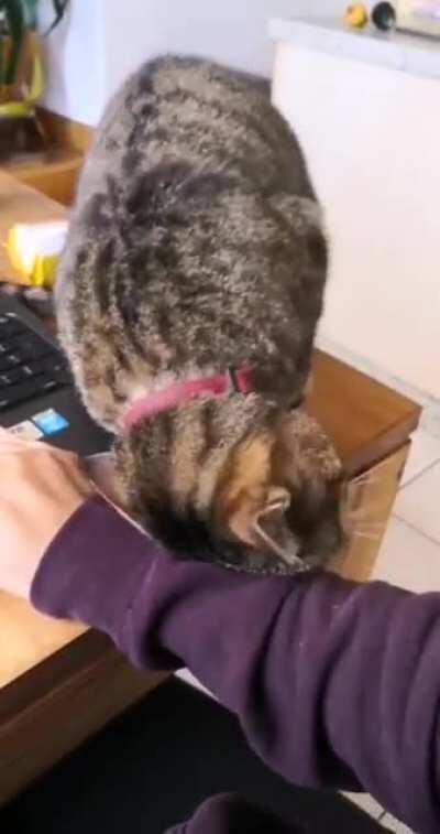 Why I can't get anything done