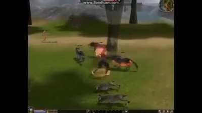 YA ANANI SİKEYİM HOCA Bİ DE ACELE ETMEYELİM DİYO EĞ İĞ ÖĞĞ LAN KUSACAM LAĞ LEĞ LÖĞ ANANI SİKEYİM 3 LIRAYA 15 MİDYE YERKEN BUNU DÜŞÜNMEMİZ LAZIMDI OLUM YA