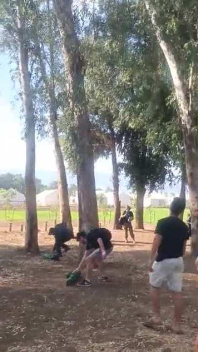 just some guys trying to get a ball off a tree