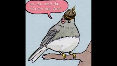 Deutsch-Britisches Flottenwettrüsten in einer Nussschale