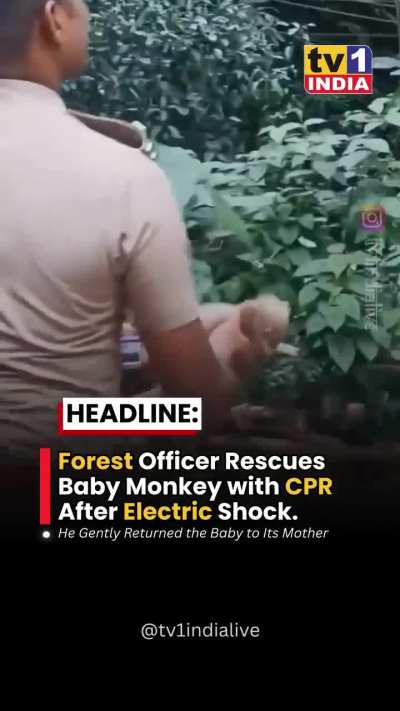 Forest Officer Rescues Baby Monkey with CPR