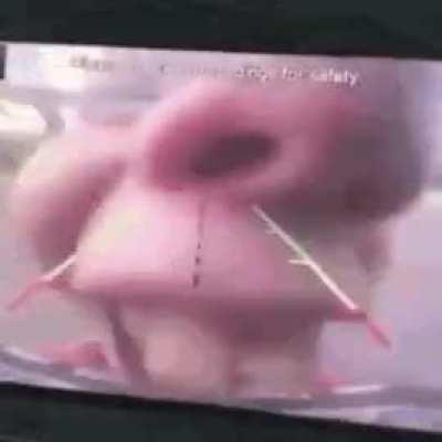 when i see one of those gas station nacho cheese dispenserrs🤤🤤🤤🤤🤤🤤🤤