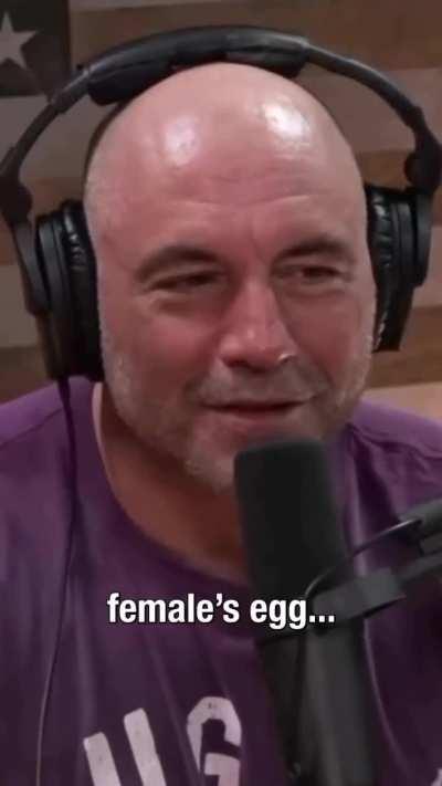 I think this guy played too much Rimworld