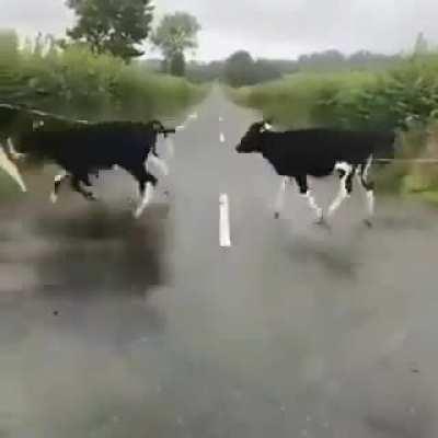 Fon't step on the line