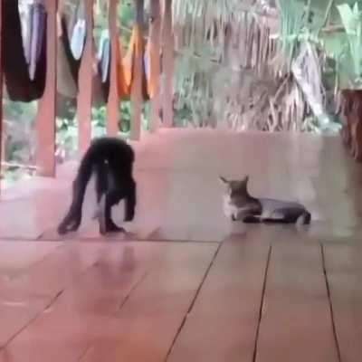 he just wanted some cuddles