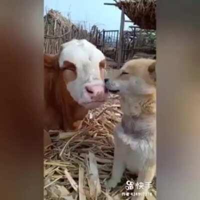 Friendship has no distance