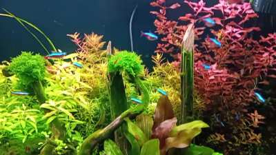 3 months after rescape