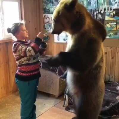 Family members can also be bears