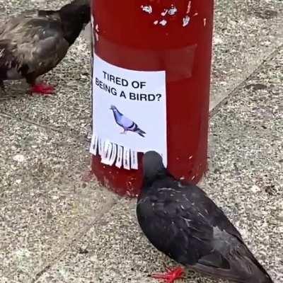 Rebellion begins. They became aware and want some change.