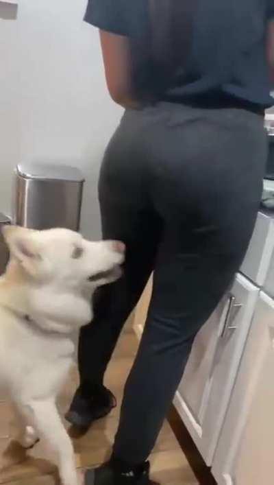 how is this not posted