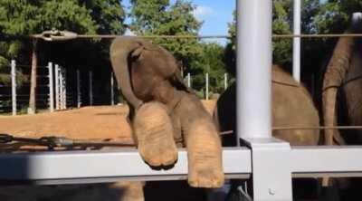 Hey there beautiful, you come here often?