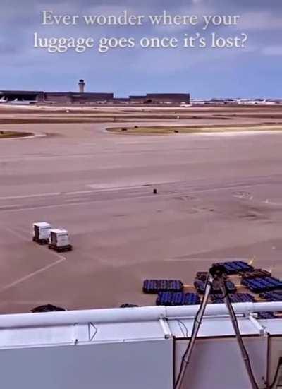 My luggage people need me!..