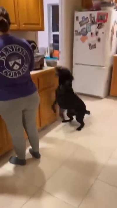 He is in charge of supervising Thanksgiving dinner preparation