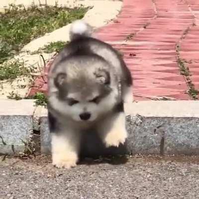 The edge of the precipice