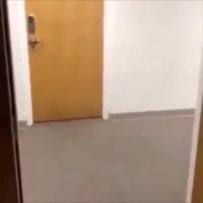 Twelfth Street Rag over people running from a duck