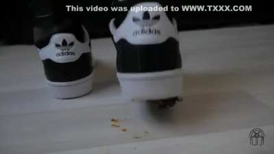 Helga Li Roach Crushing FULL VIDEO