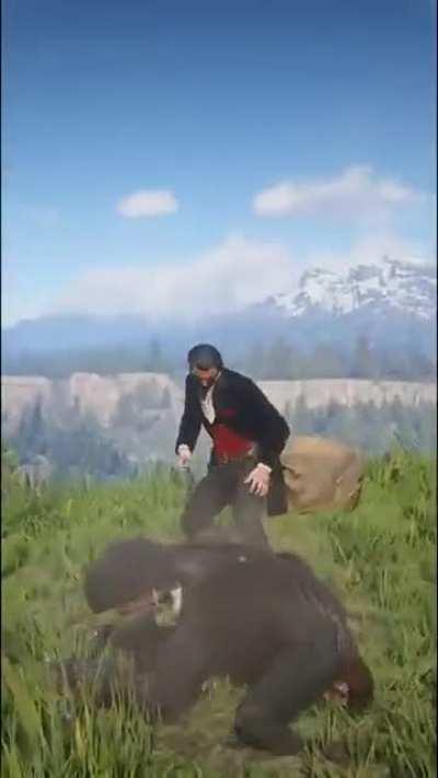 [Red Dead Redemption 2] Helicopter Mode engaged [Crosspost from r/PerfectlyCutScreams]