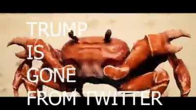 🦀🦀Trump is gone from twitter🦀🦀