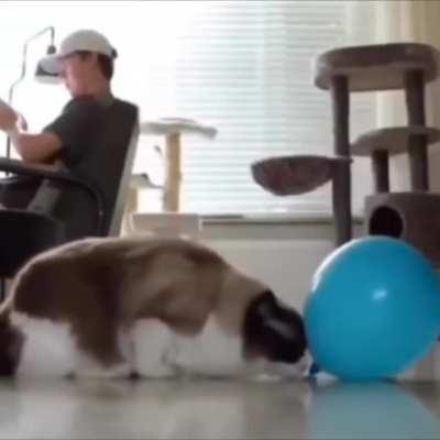 Never let them know your next move!