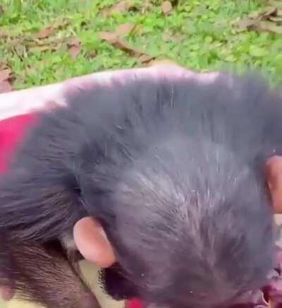 Vaza vídeo de muquinha quando criança 😳😱