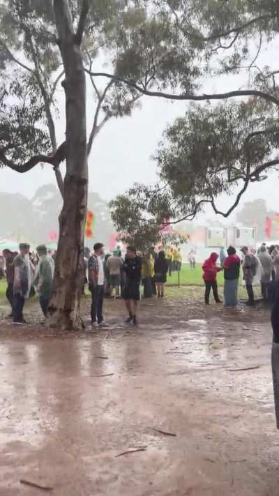 Strokes Adelaide looking like this is it