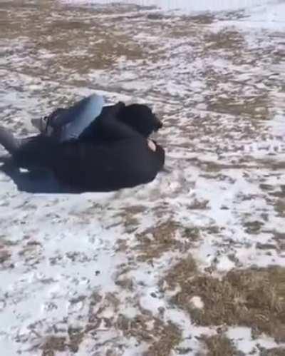 A Good Few Kicks To The Head & Stomach Just To Be Safe.