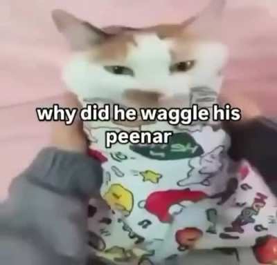 Pskdjjeosjxjskxpeenar