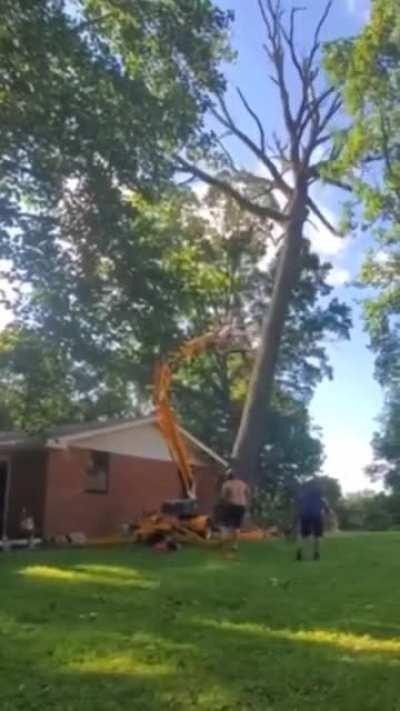 Guys use a Genie Lift to knock over a tree.