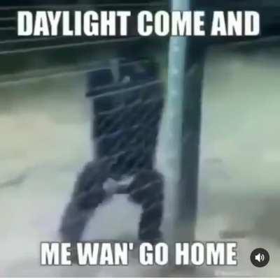 🦍Alright Apes. Lets take this next week serious. This is what we have all been waiting for. 😎