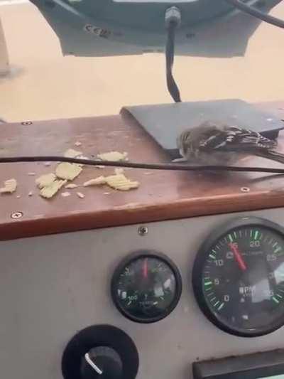 5th generation lobster fisherman is also birdbro