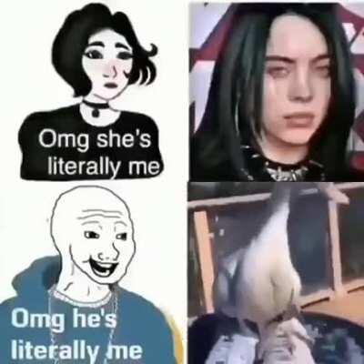 Pato asado esta pegado ala escena