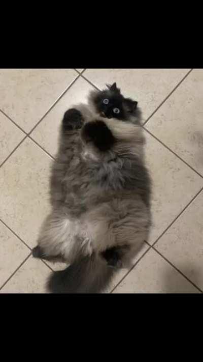 which one's your favorite?