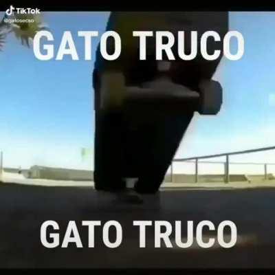 GATO TRUCO 😳👉🏻👈🏻